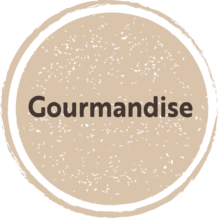 Le canard du Sud-Ouest